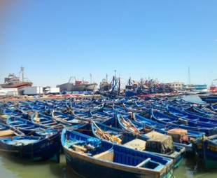 Day Trip from Marrakech Day Trip from Marrakech