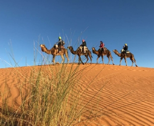 Casablanca Tour Casablanca Tour