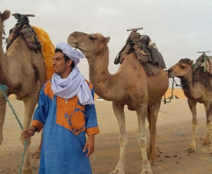 Casablanca Tour Casablanca Tour