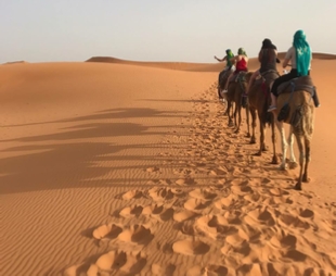 Marrakech Tour Marrakech Tour