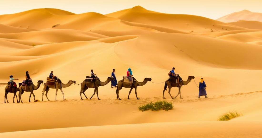 Marrakech Tours Marrakech Tours
