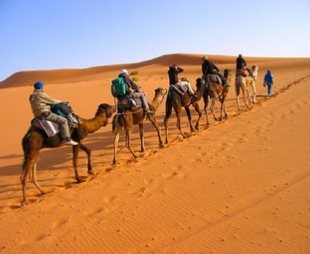 Ouarzazate Tours Ouarzazate Tours